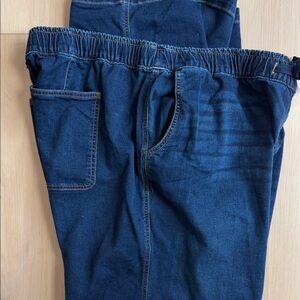 Lane Bryant Blue Women Jeans